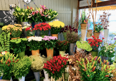 Florist Choice - A bouquet of the florists choice made using the freshest flowers of the day.